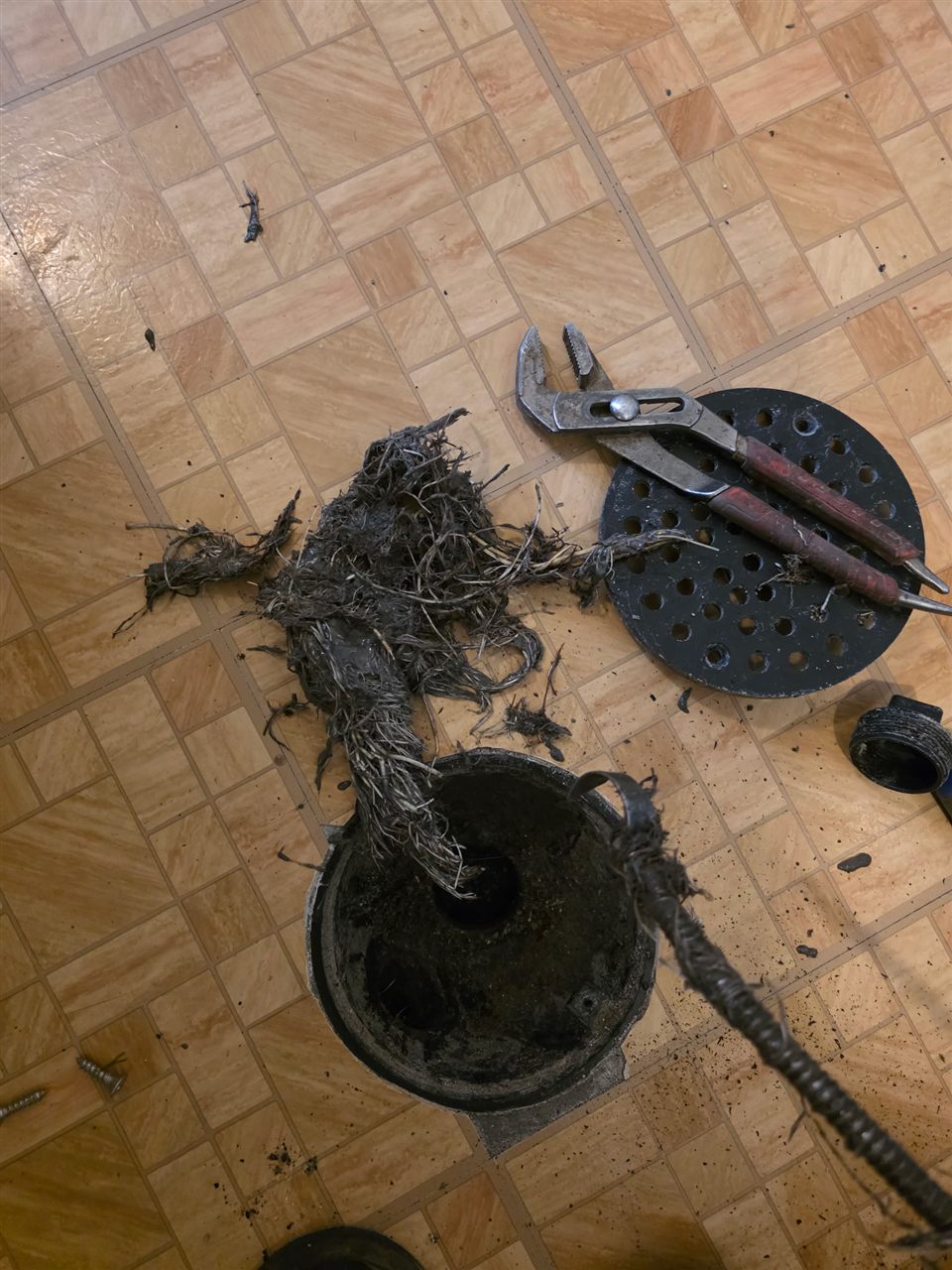 Tree roots cleared from a clogged basement floor drain and washer line in Ammon, Idaho