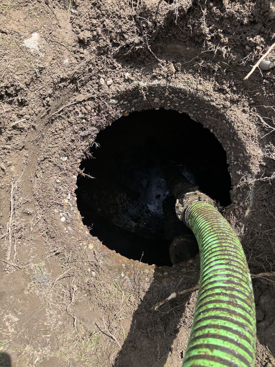 Hose pumping out a septic tank in the ground